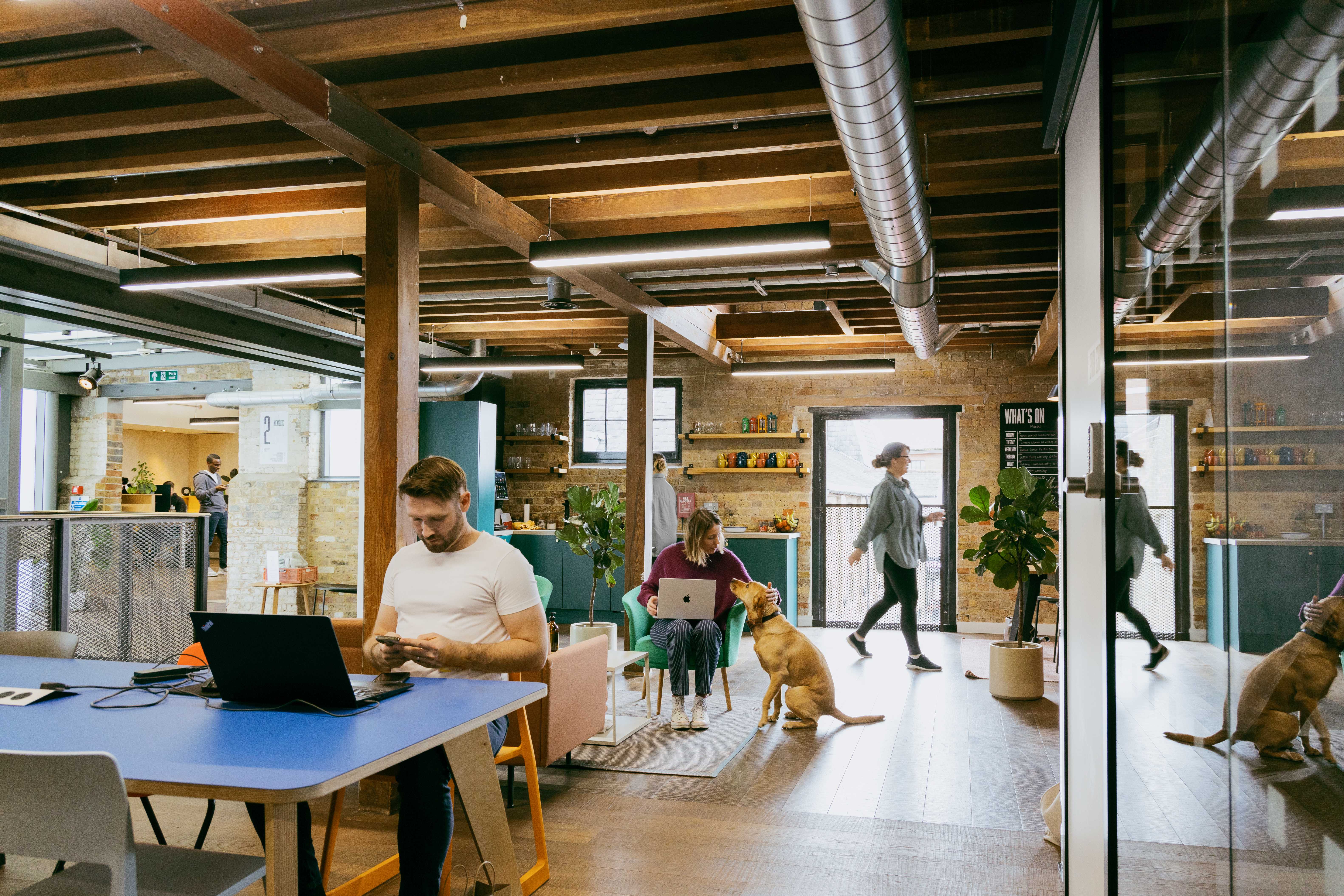 Coworking area