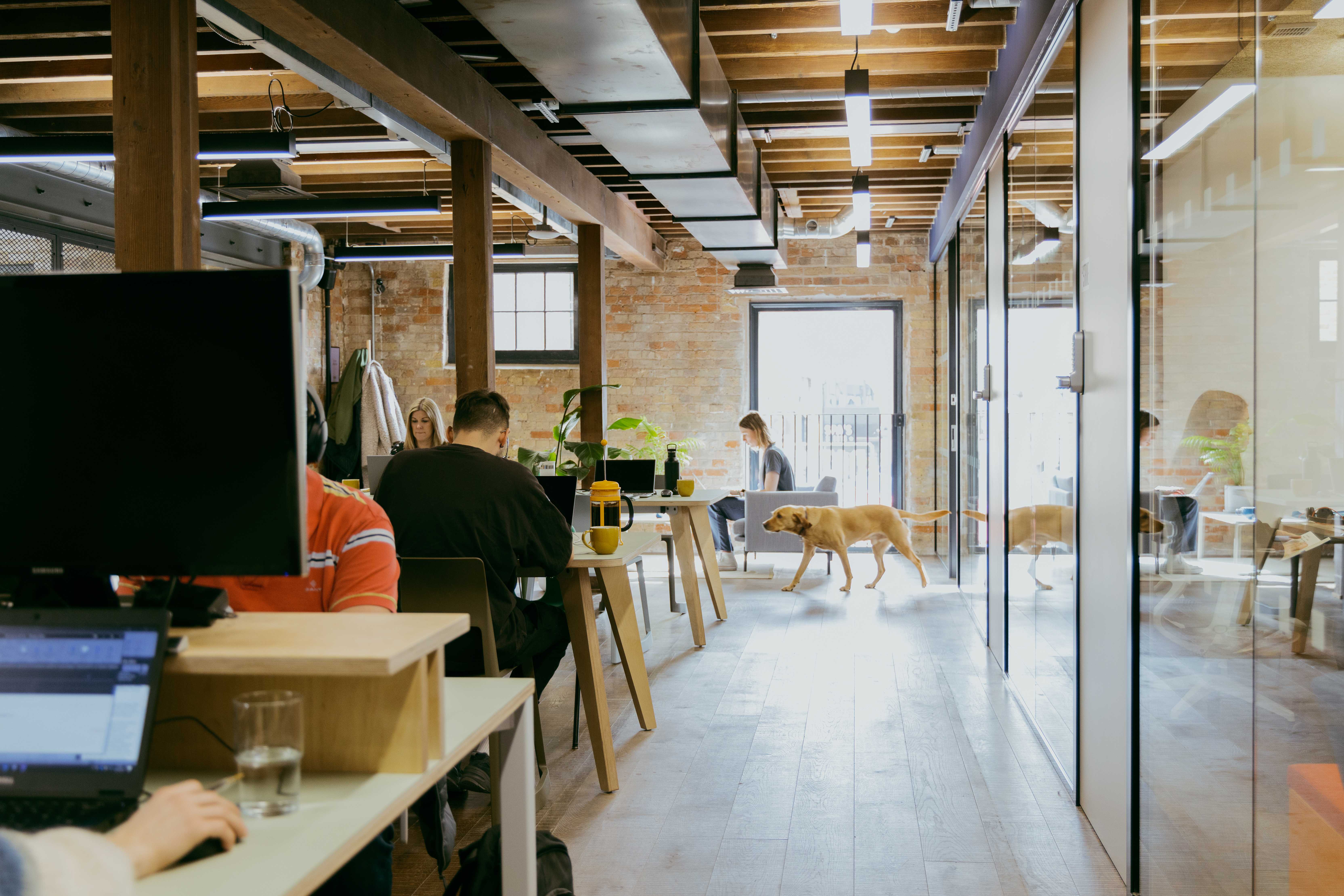Coworking area