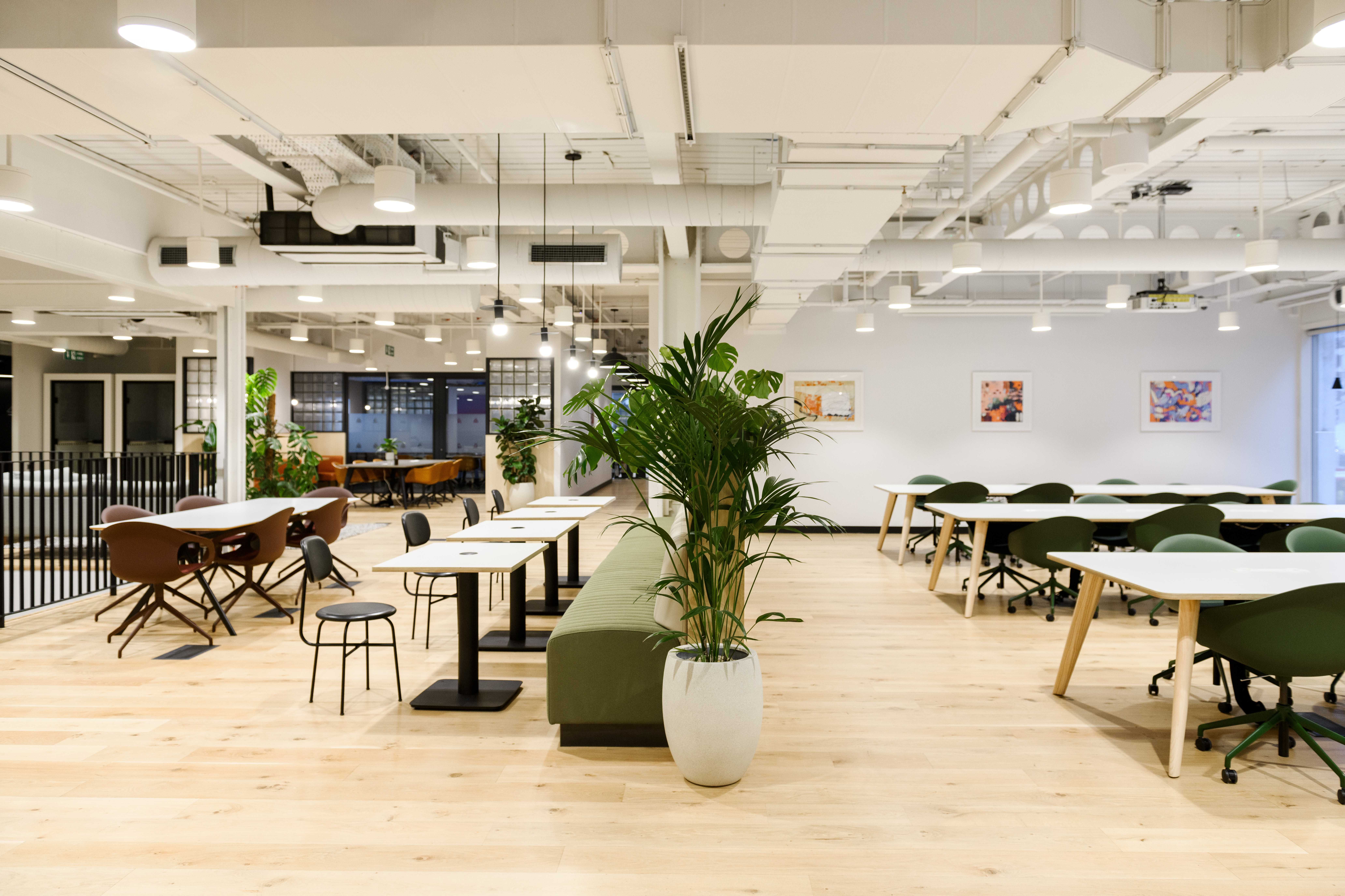 Breakout area