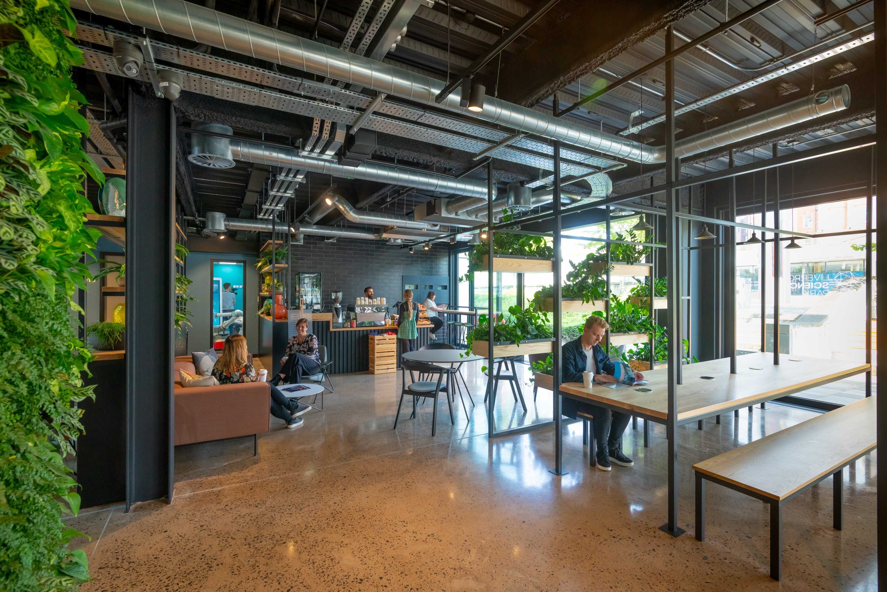 Cafe