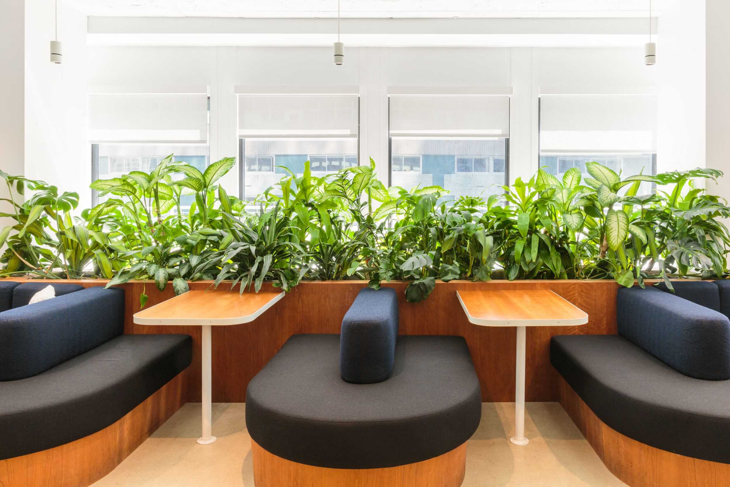 Coworking area