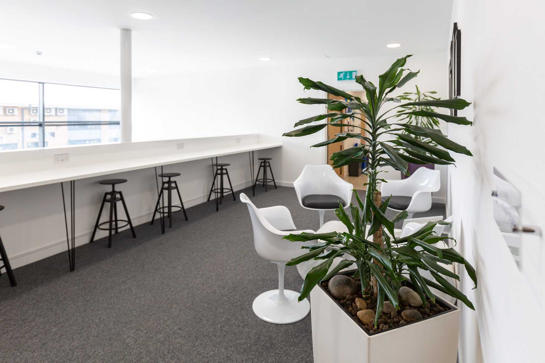 Coworking area