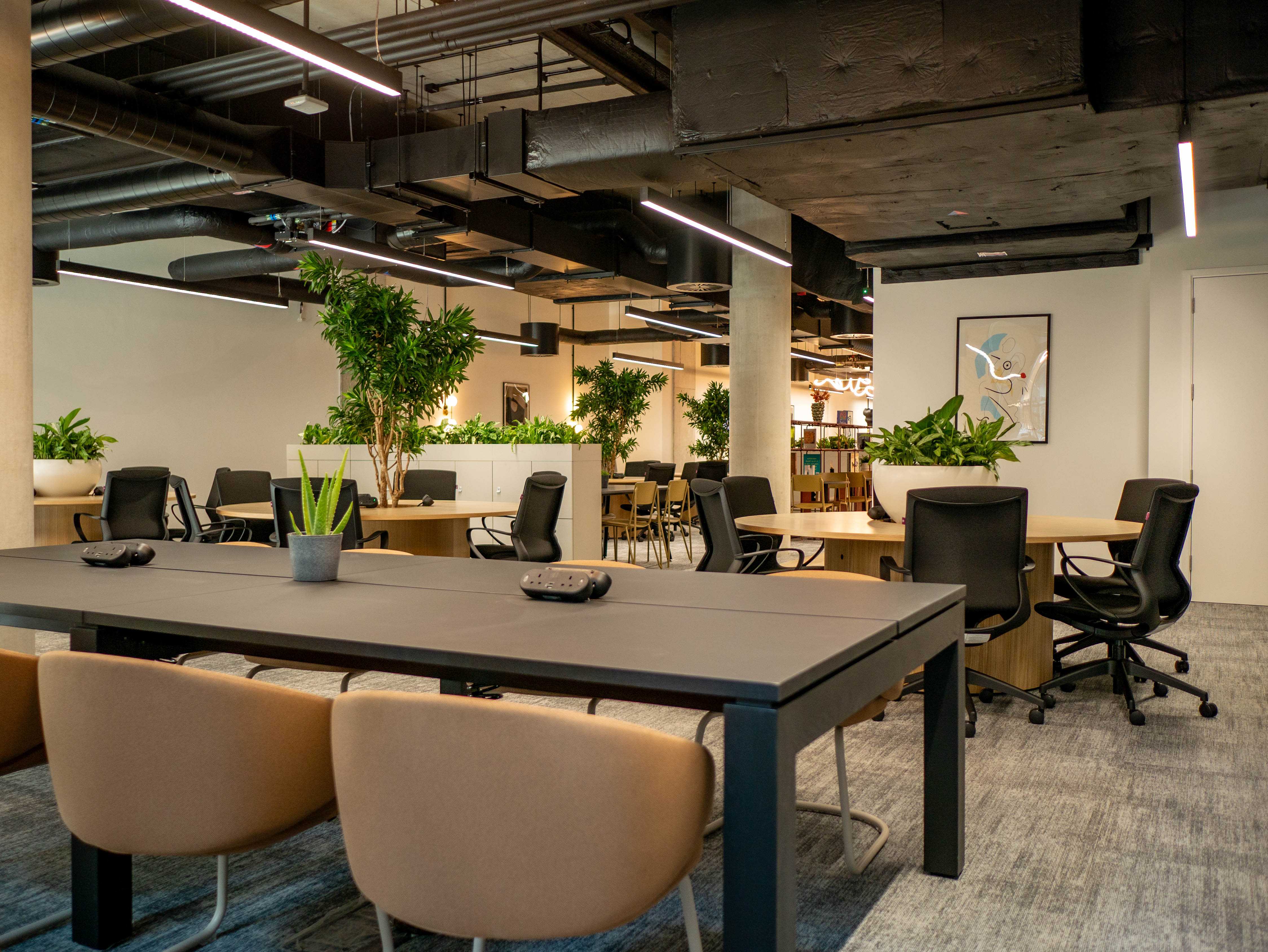 Coworking area