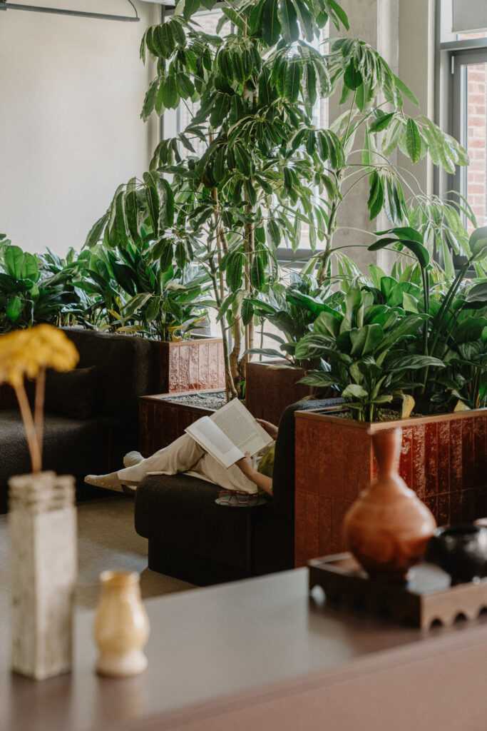 Breakout area
