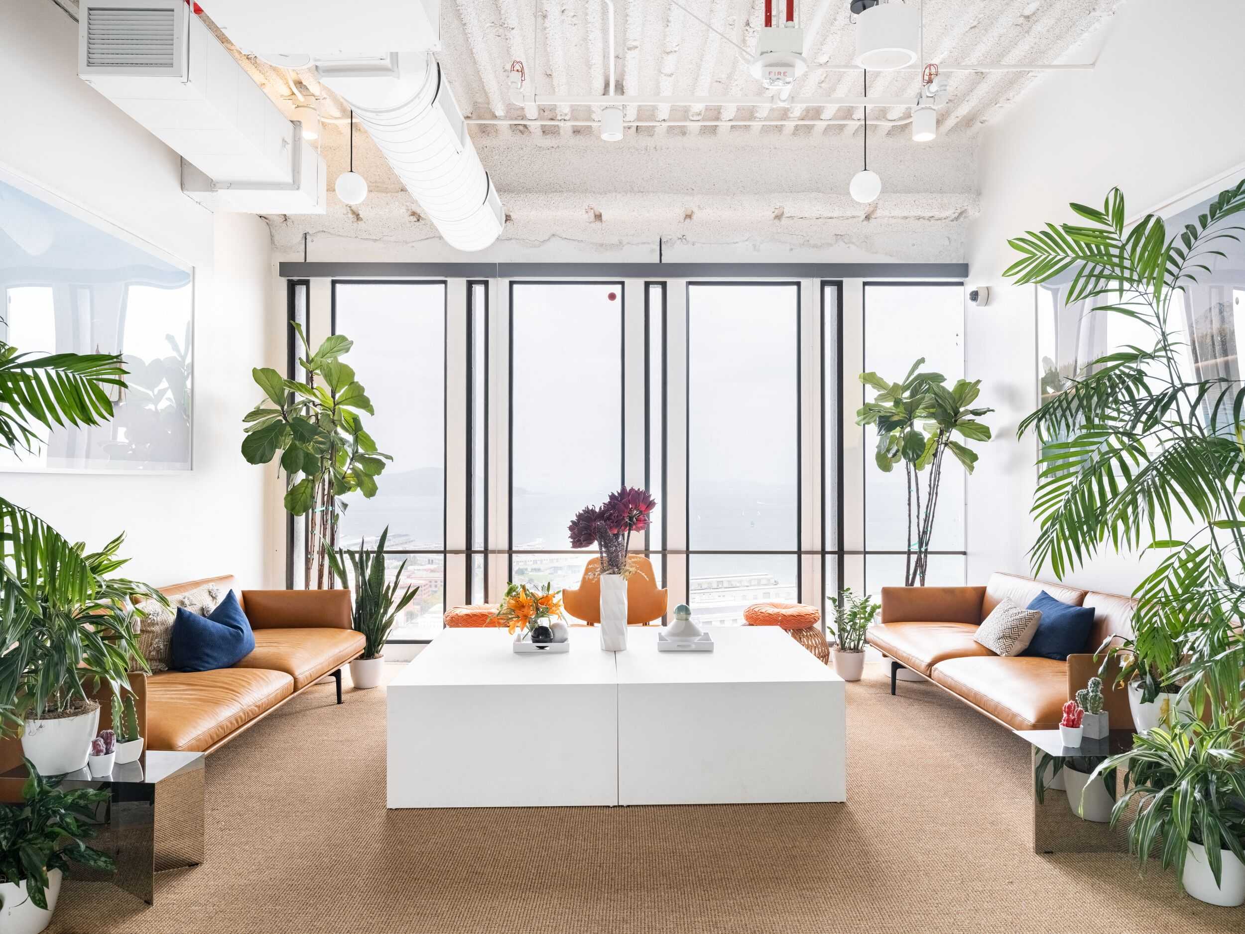 Breakout area