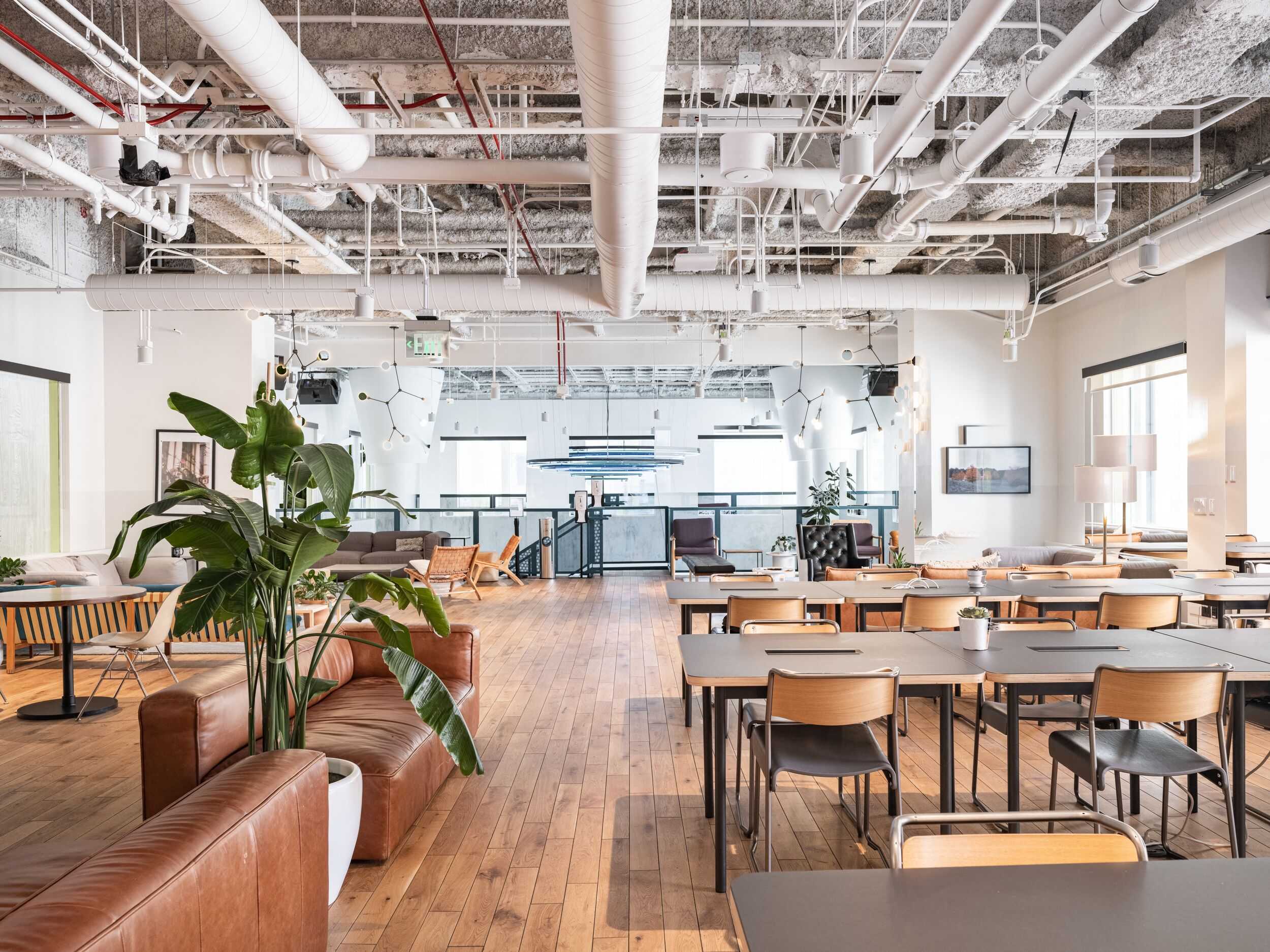 Coworking area