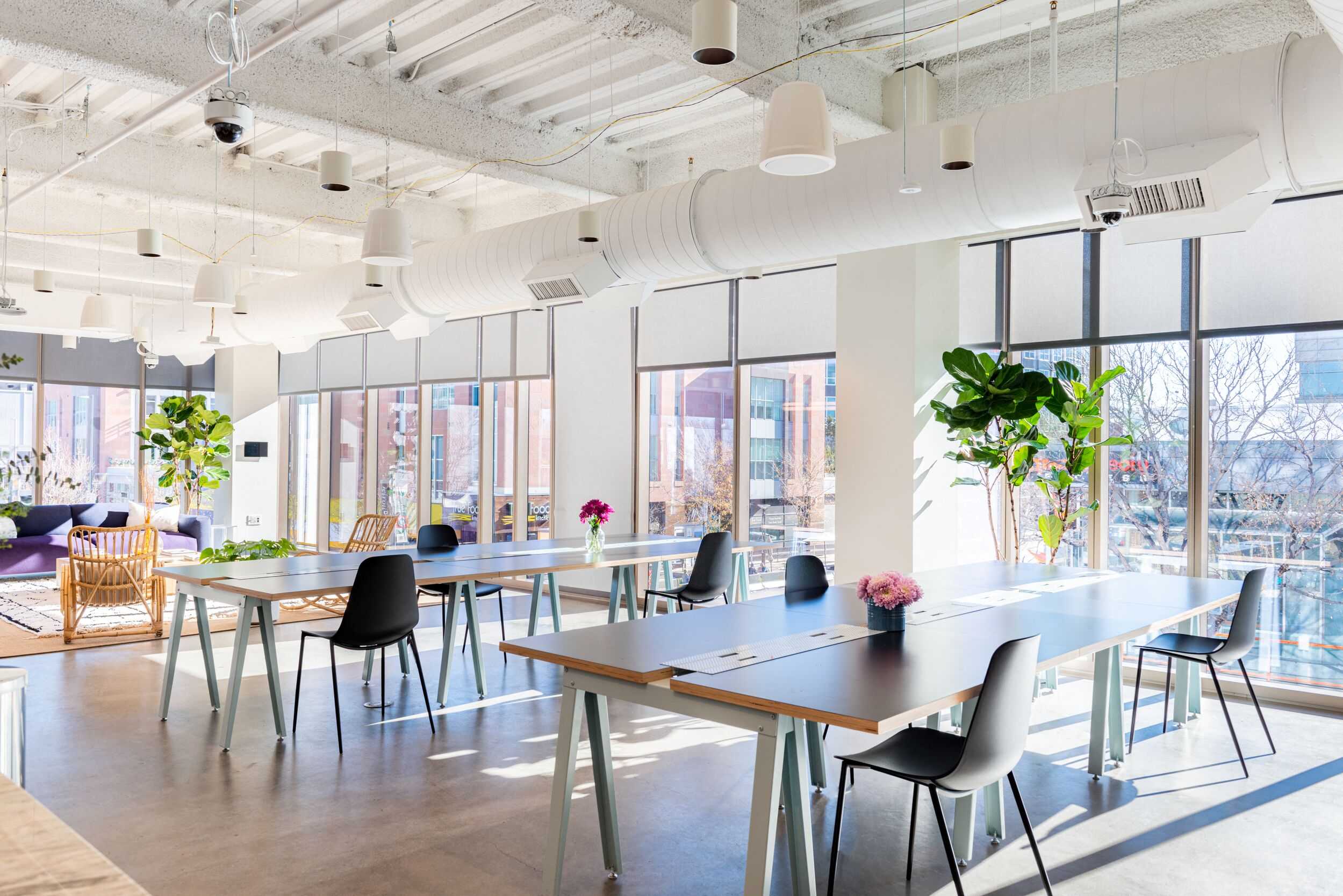 Coworking area