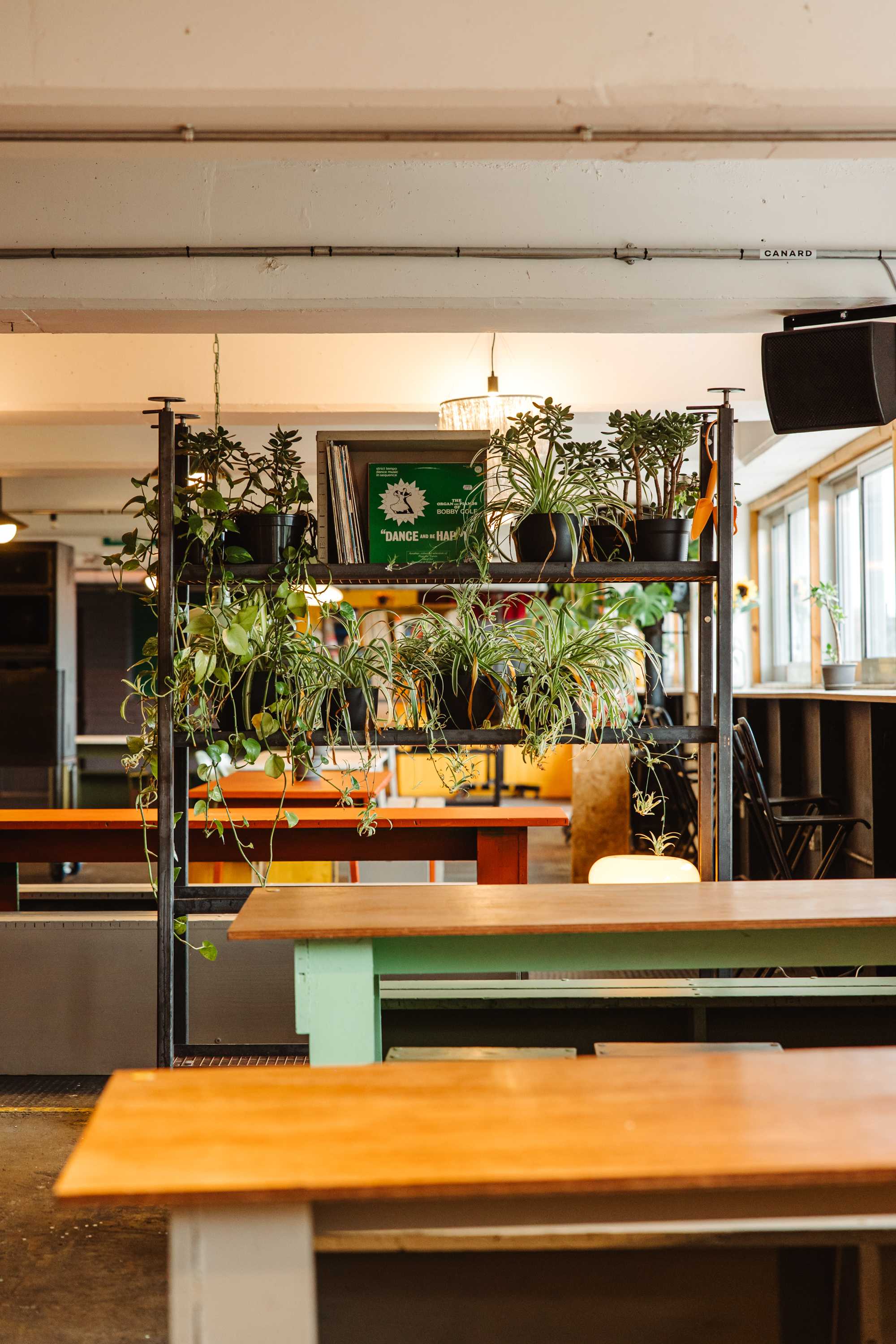 Coworking area