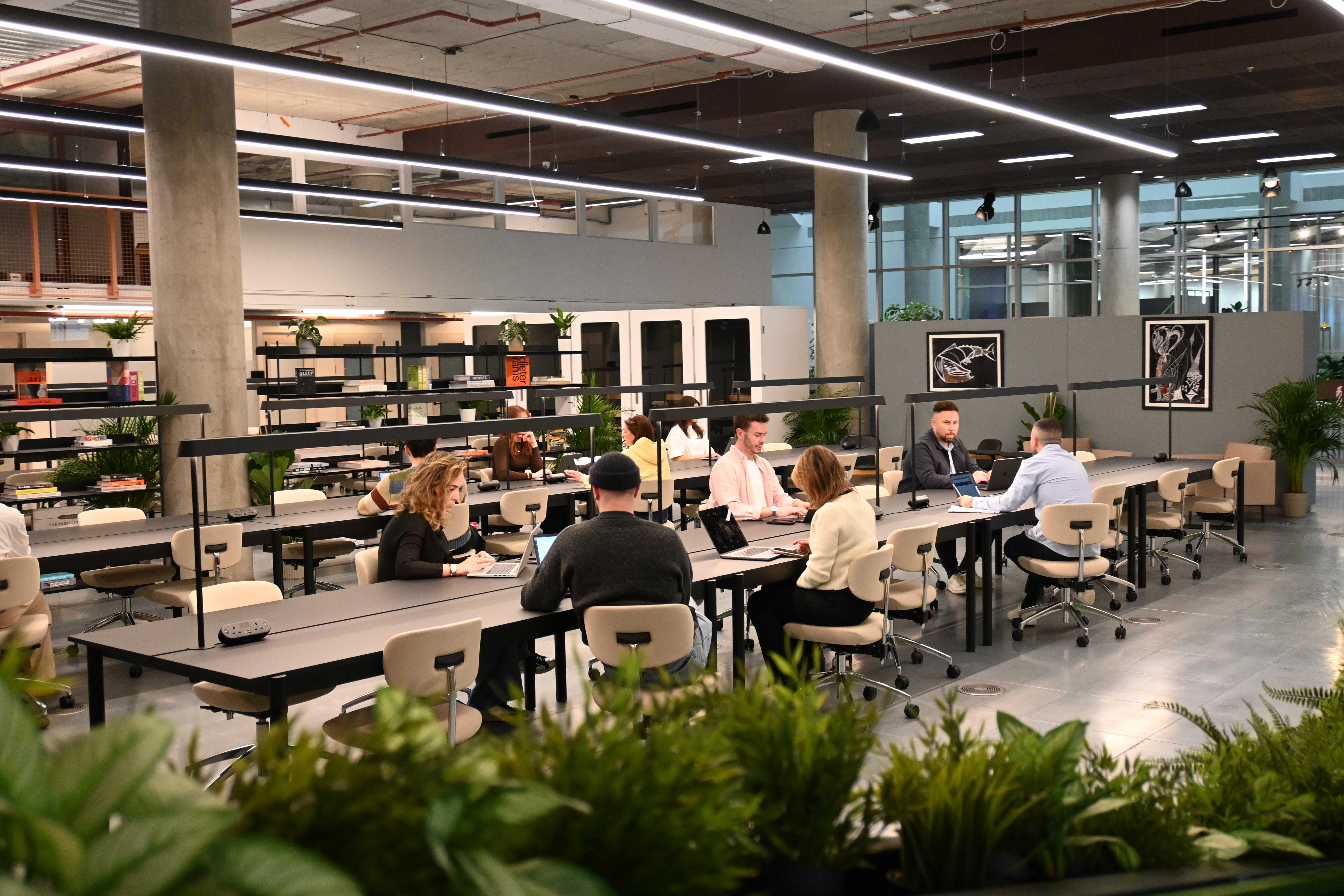 Coworking area