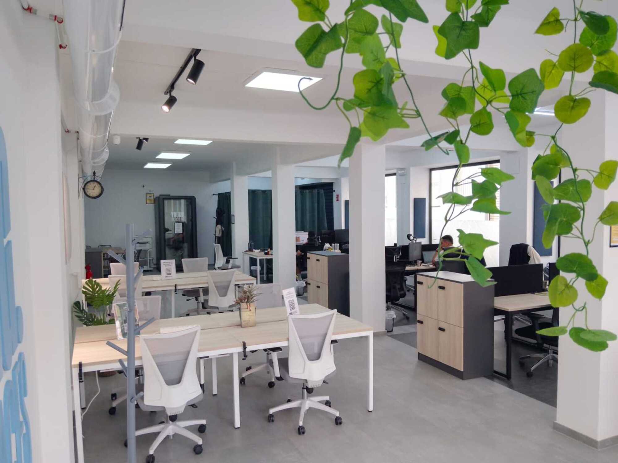 Coworking area