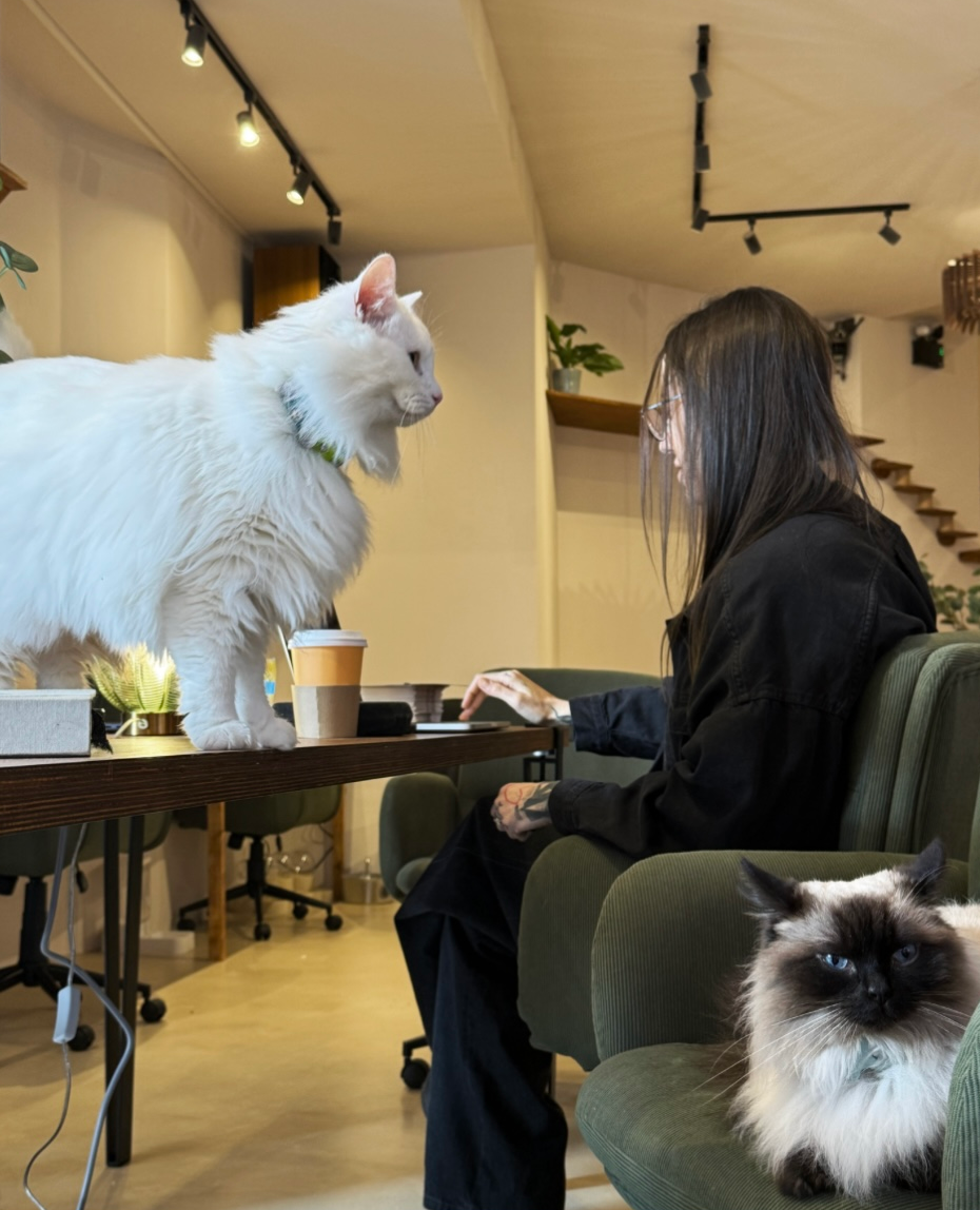 Coworking area