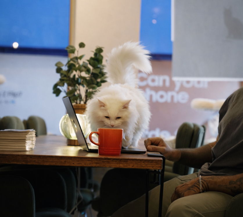 Coworking area