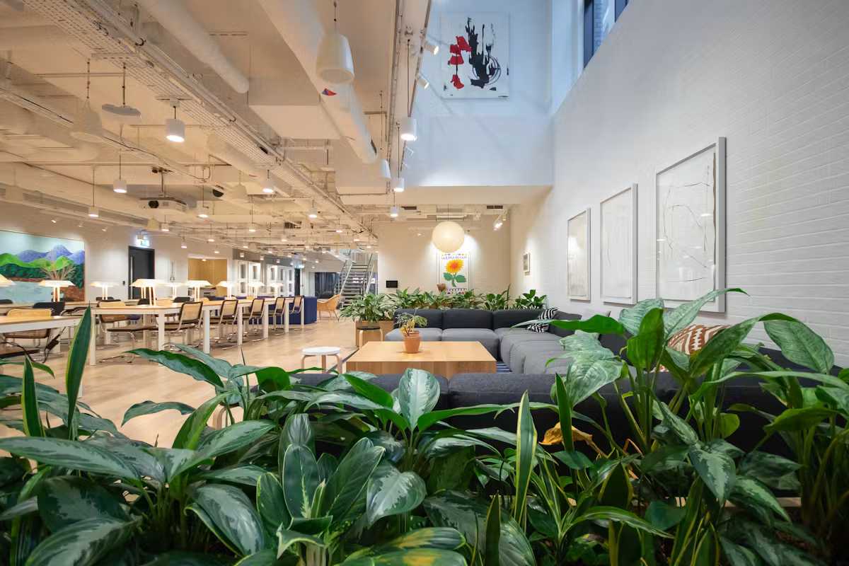 Breakout area