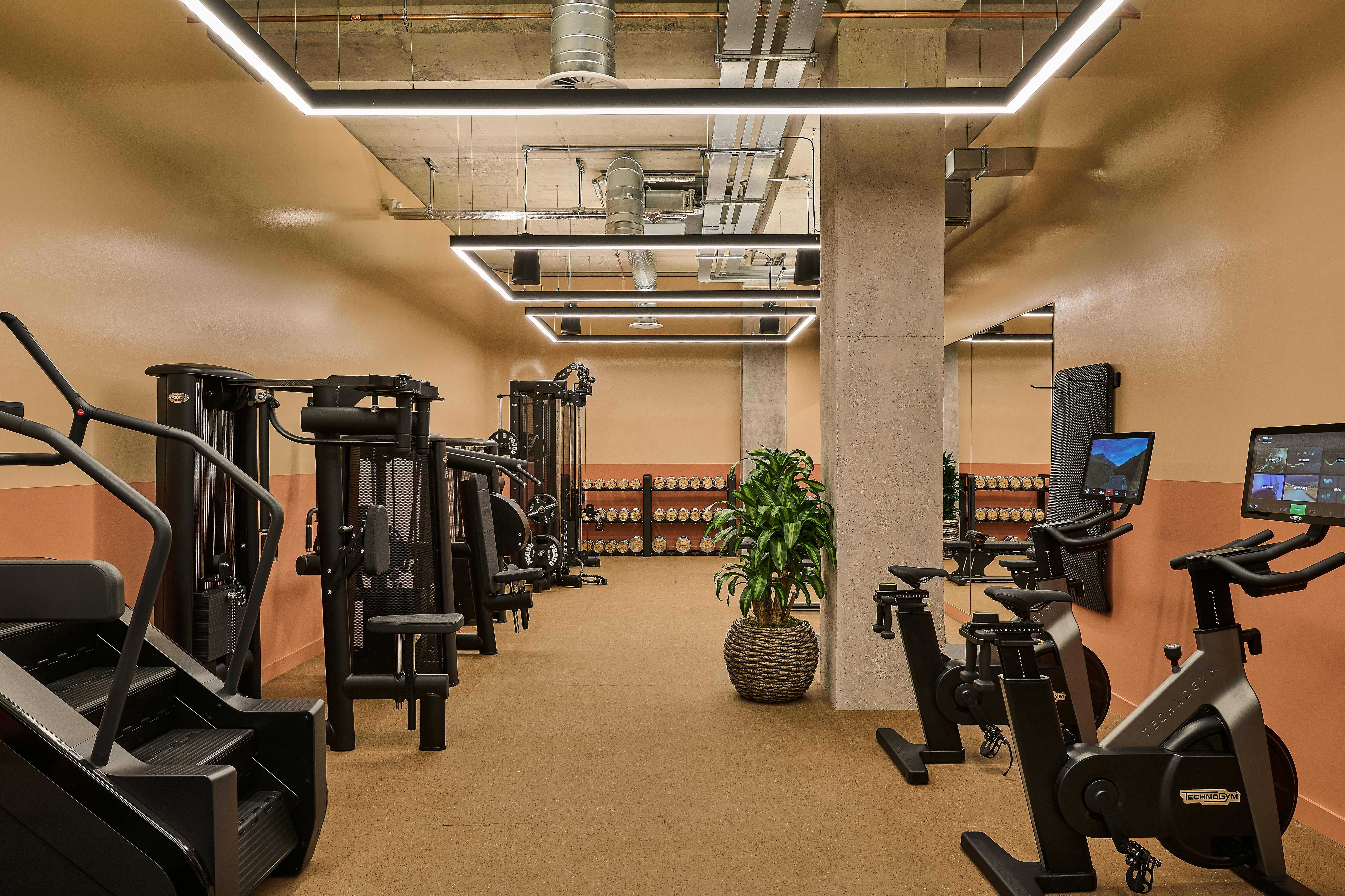 Gym