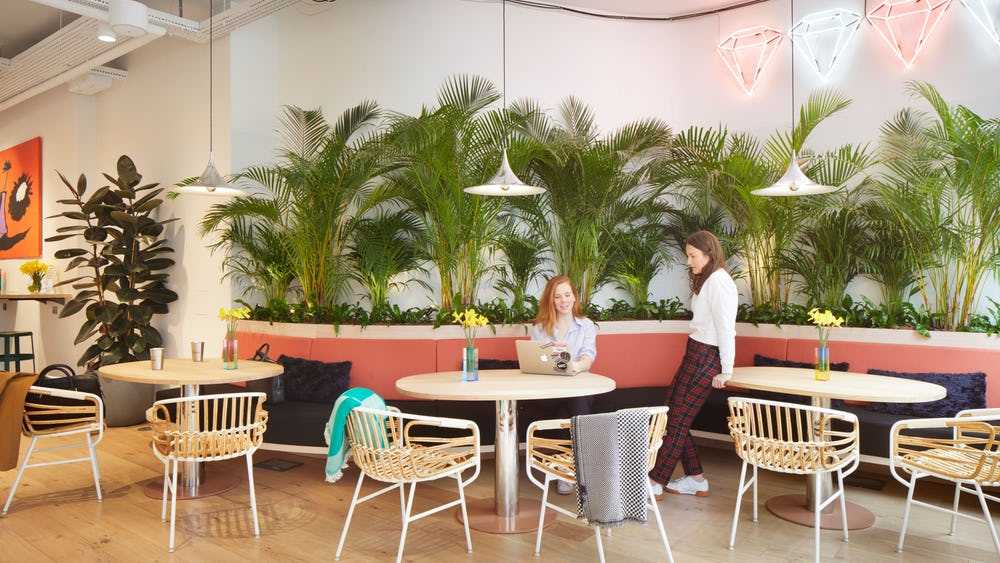 Coworking area