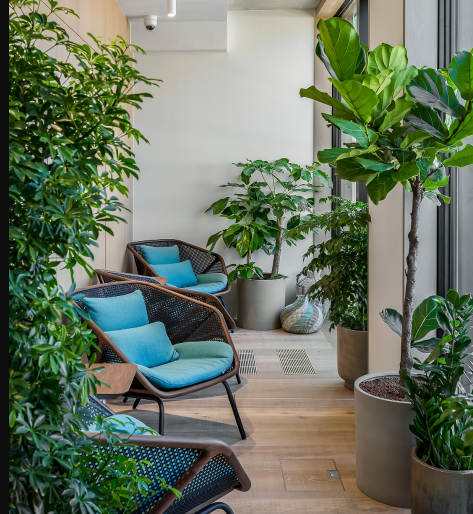 Breakout area