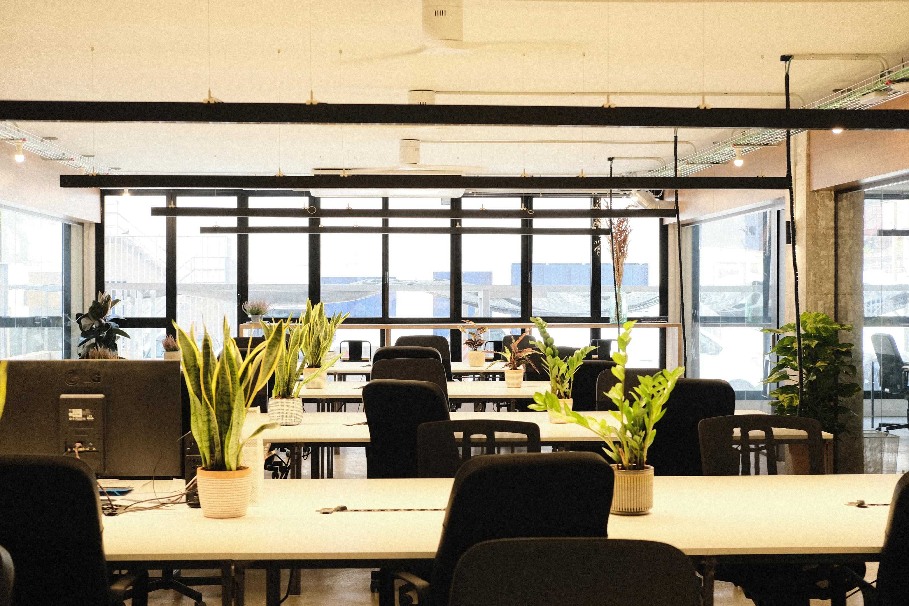 Coworking area
