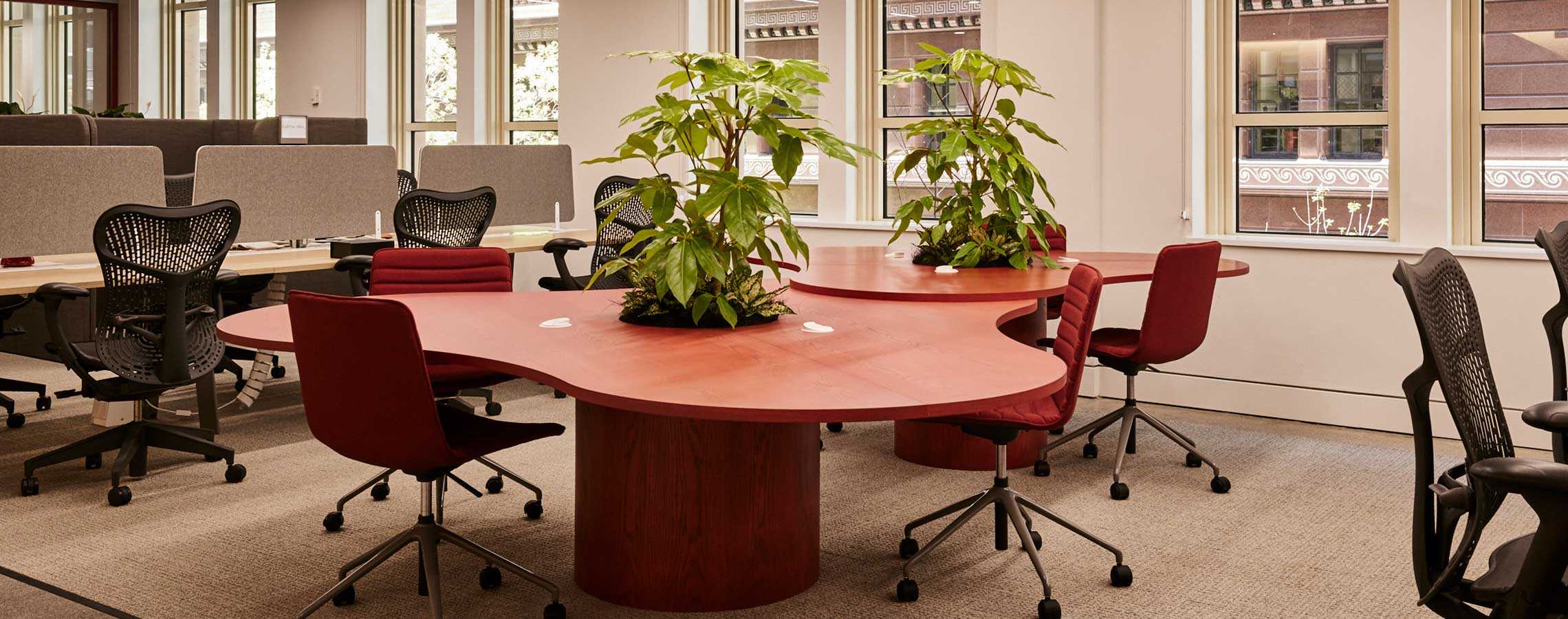 Coworking area