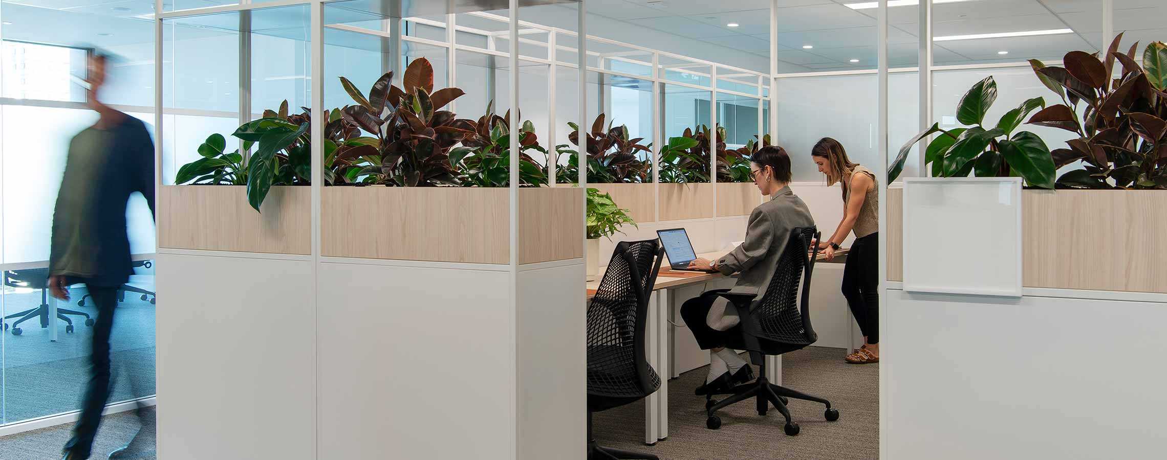 Coworking area
