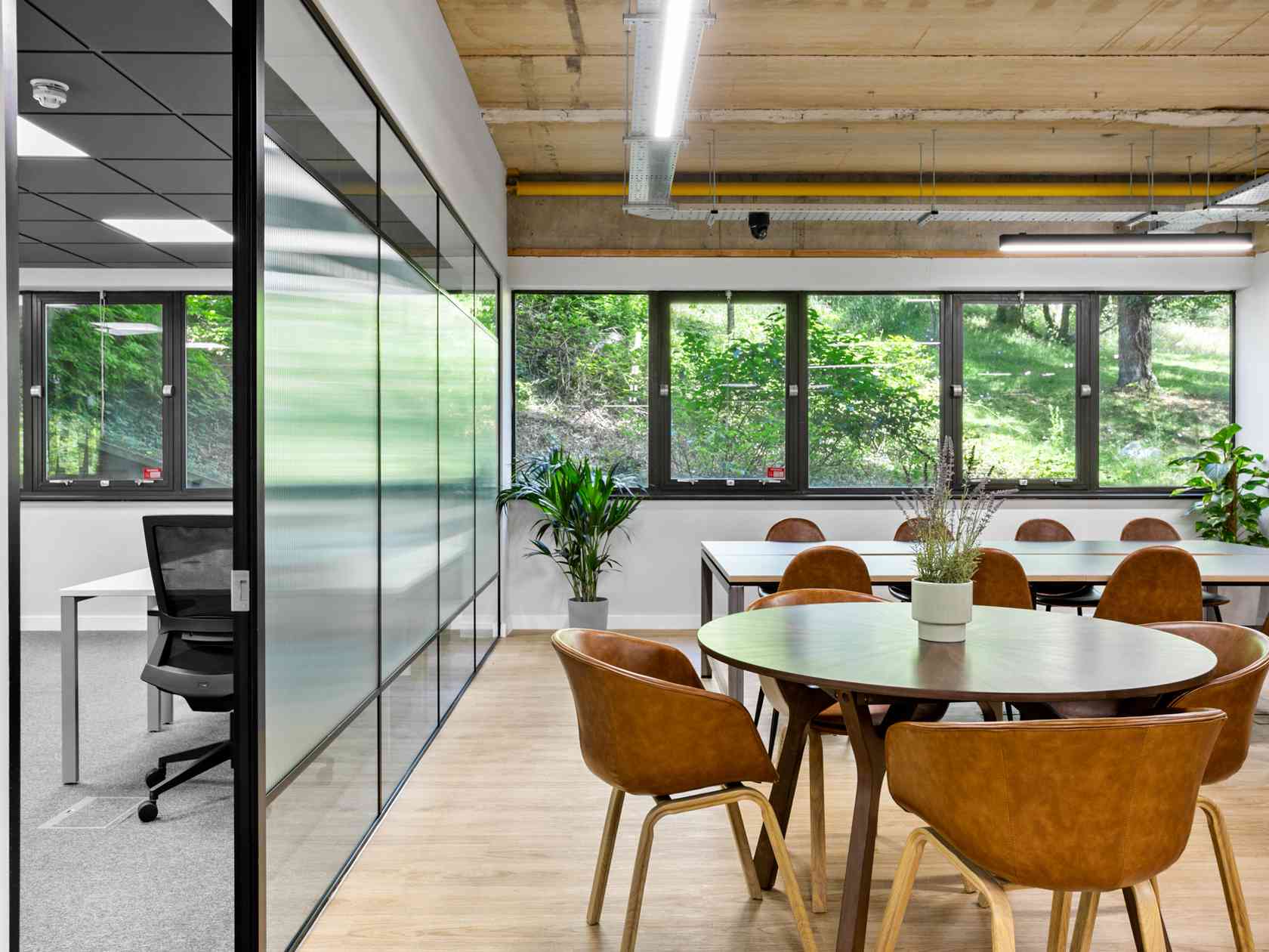 Breakout area
