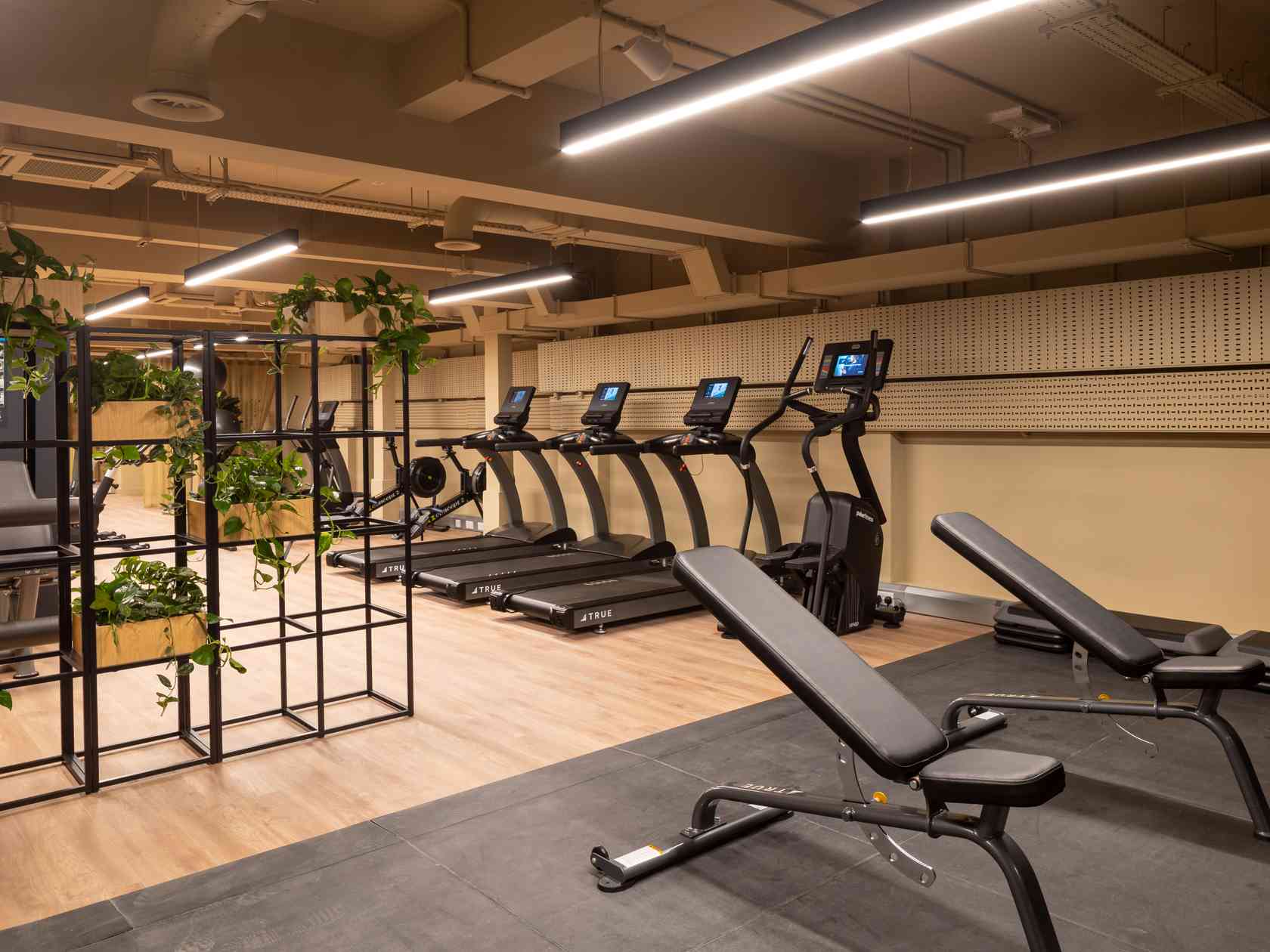 Gym