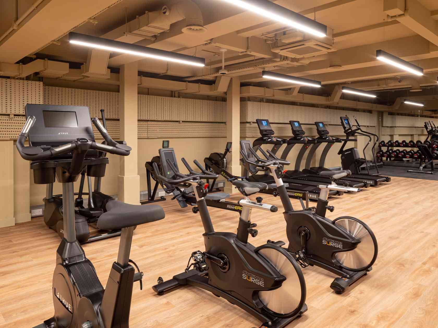 Gym