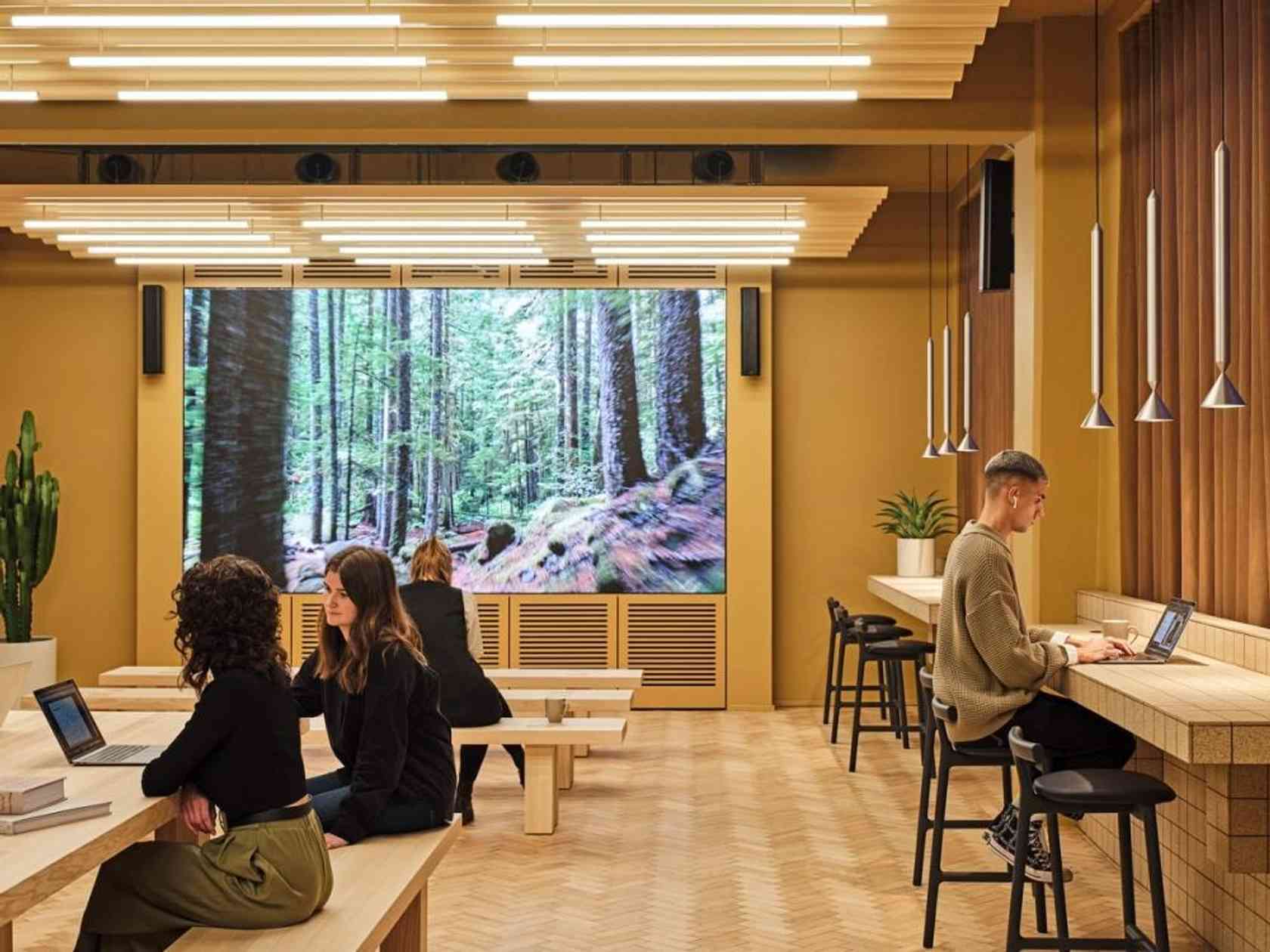 Coworking area