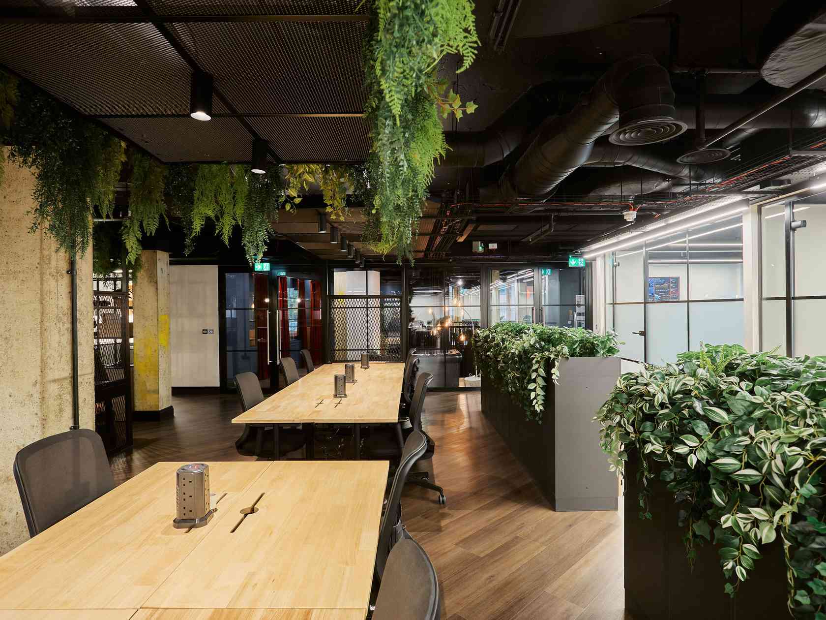 Coworking area