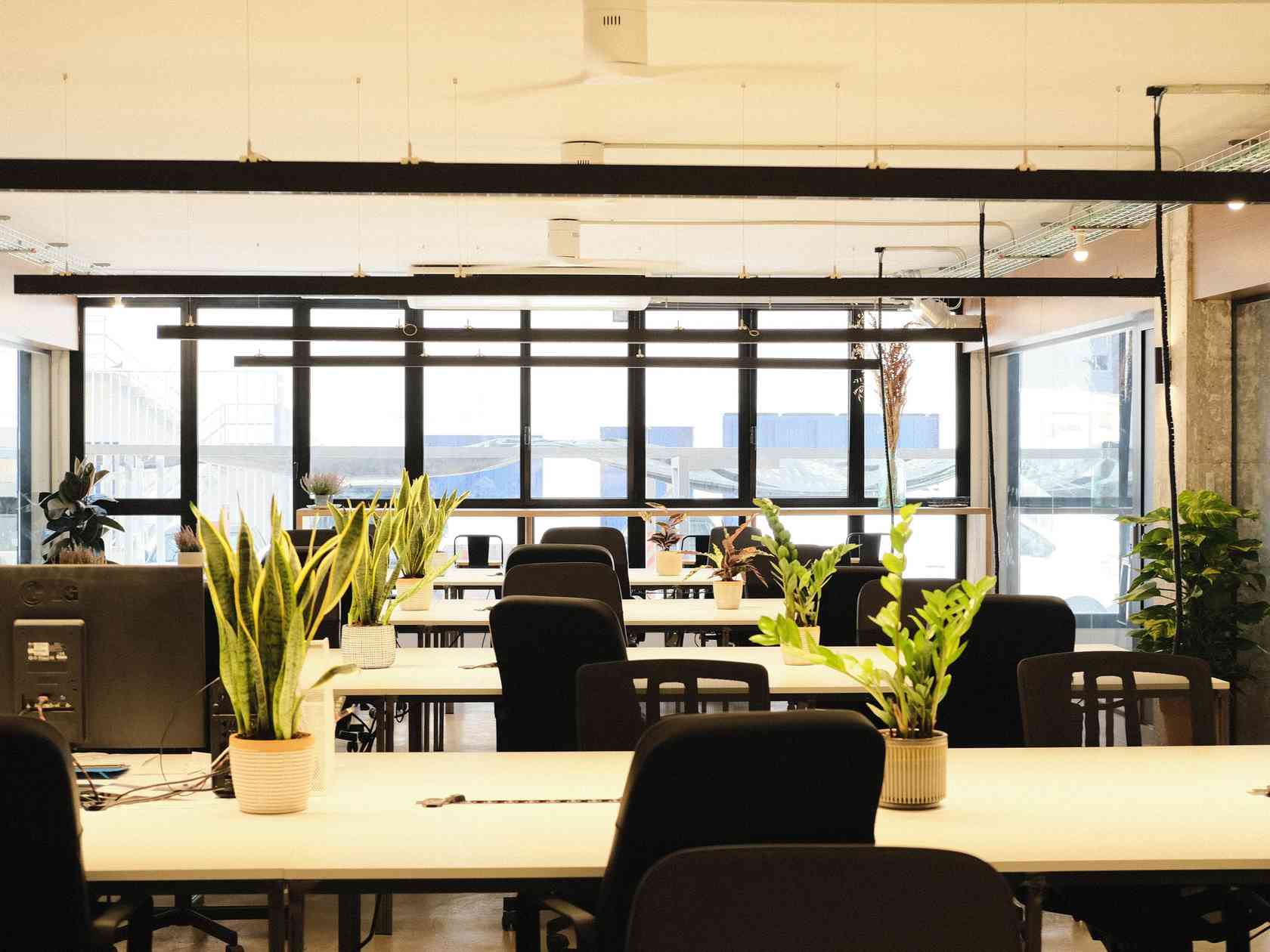 Coworking area