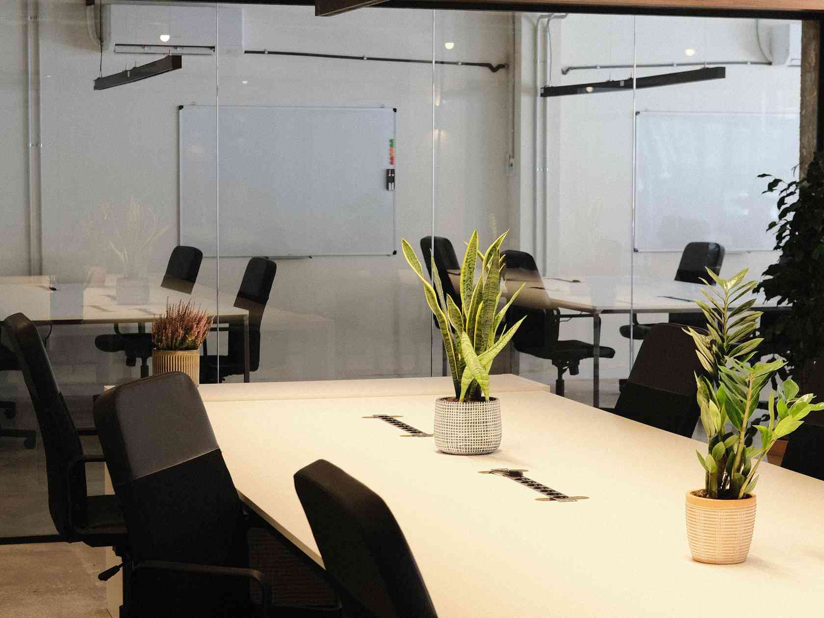 Coworking area