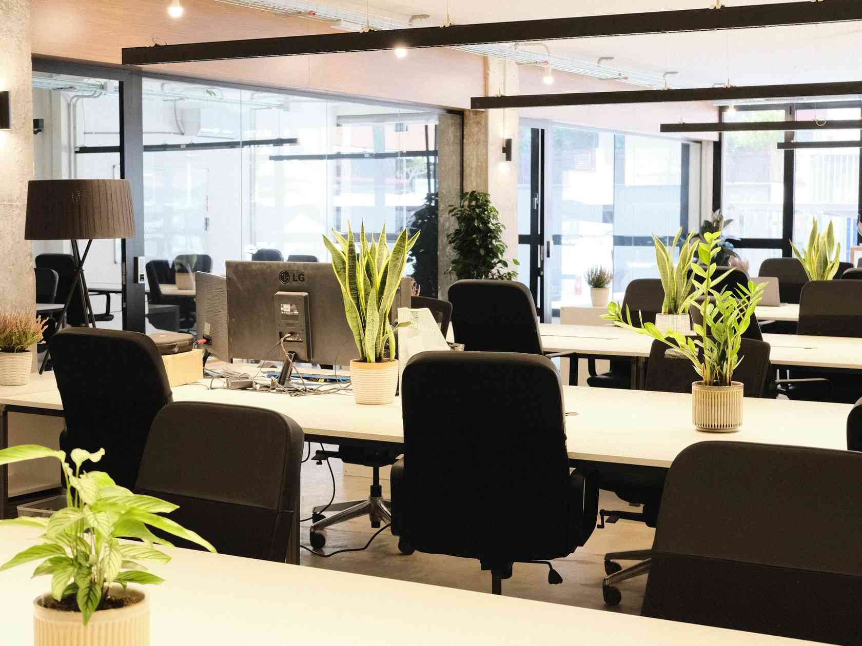 Coworking area