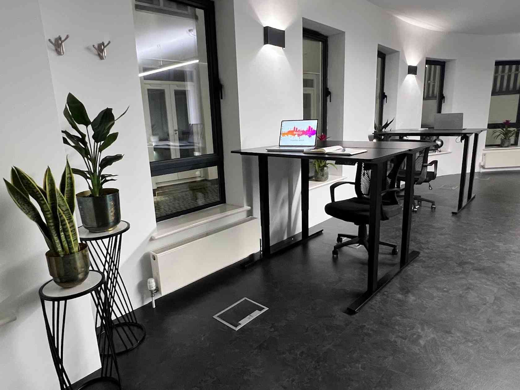 Coworking area