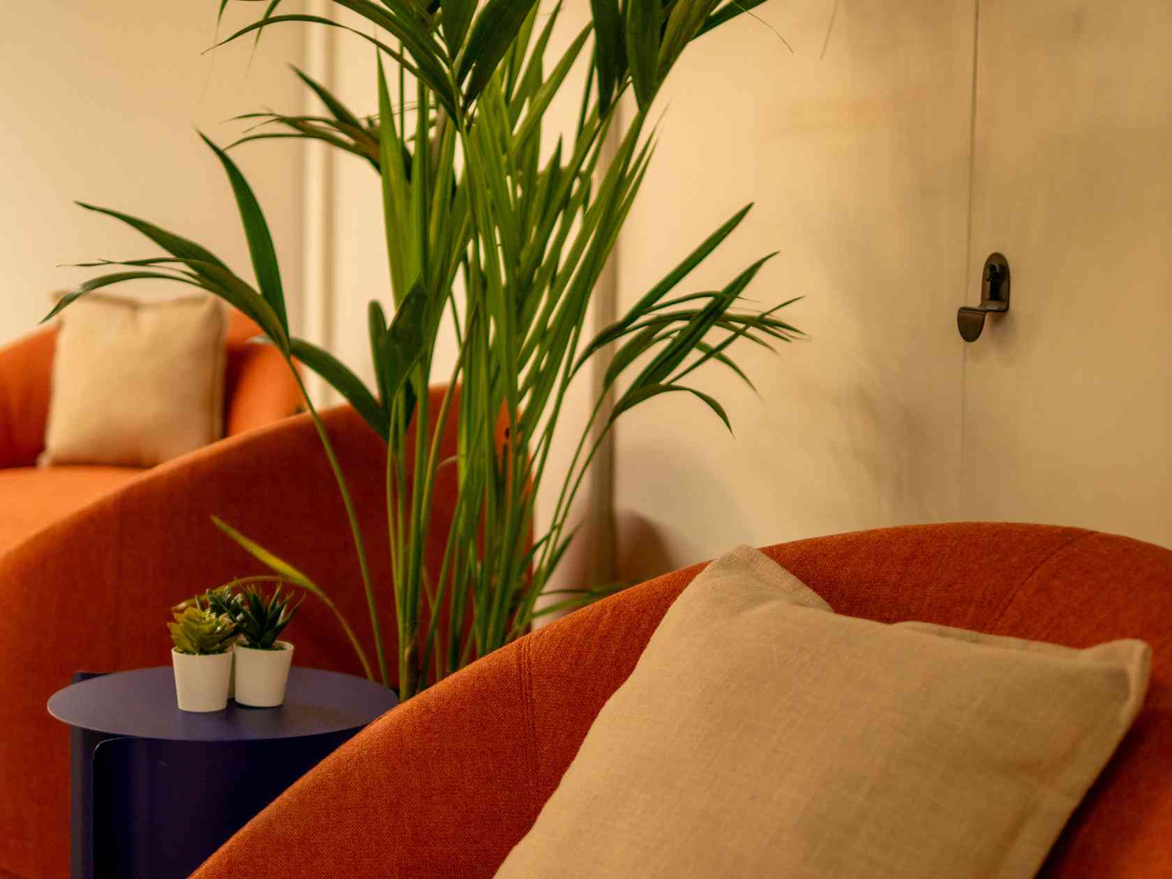 Coworking area