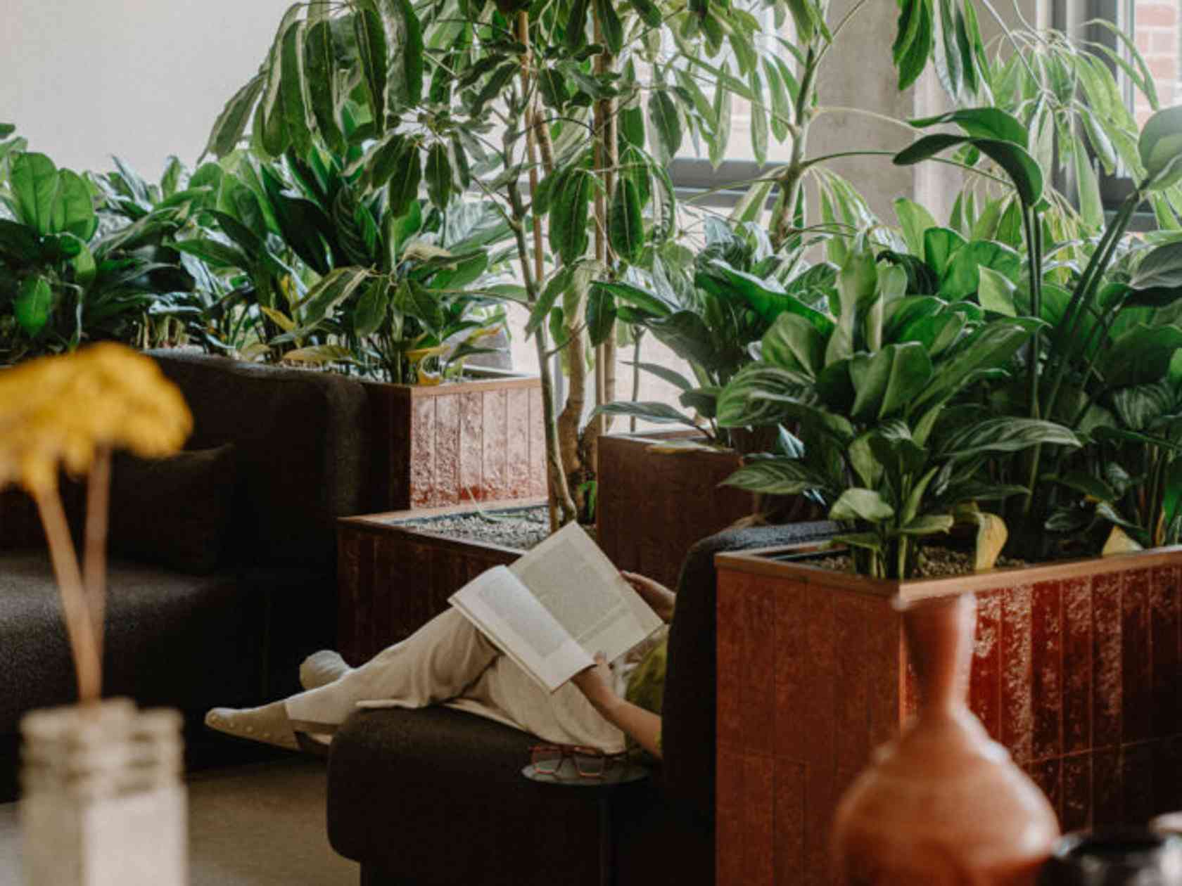 Breakout area