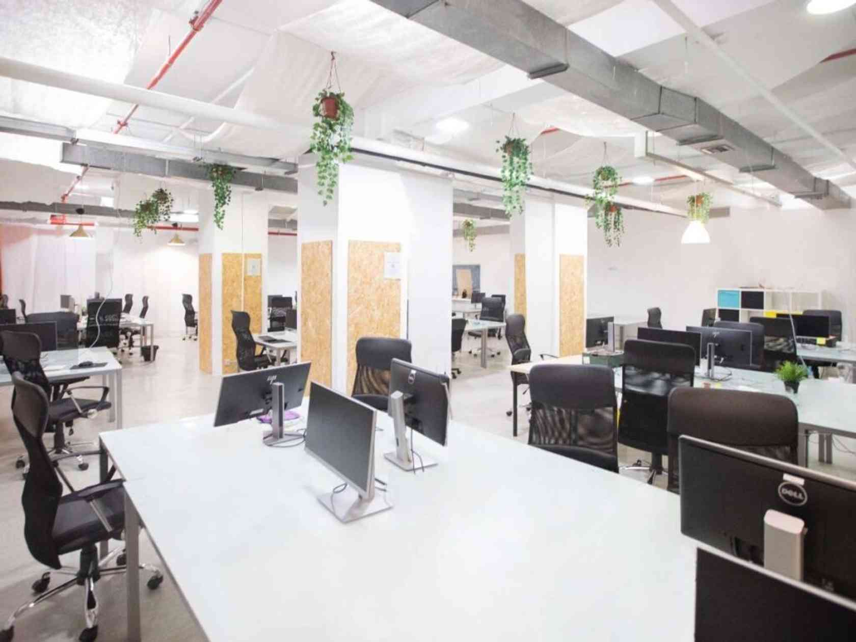Coworking area
