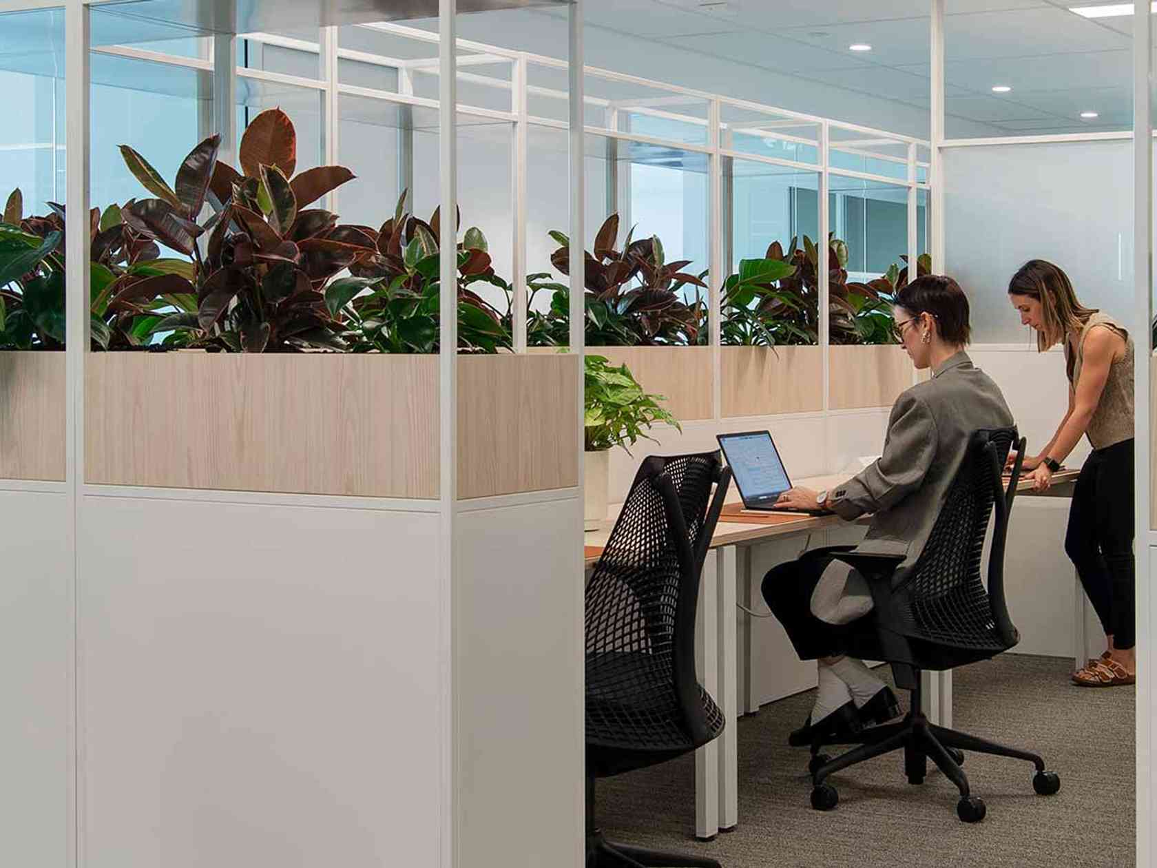 Coworking area