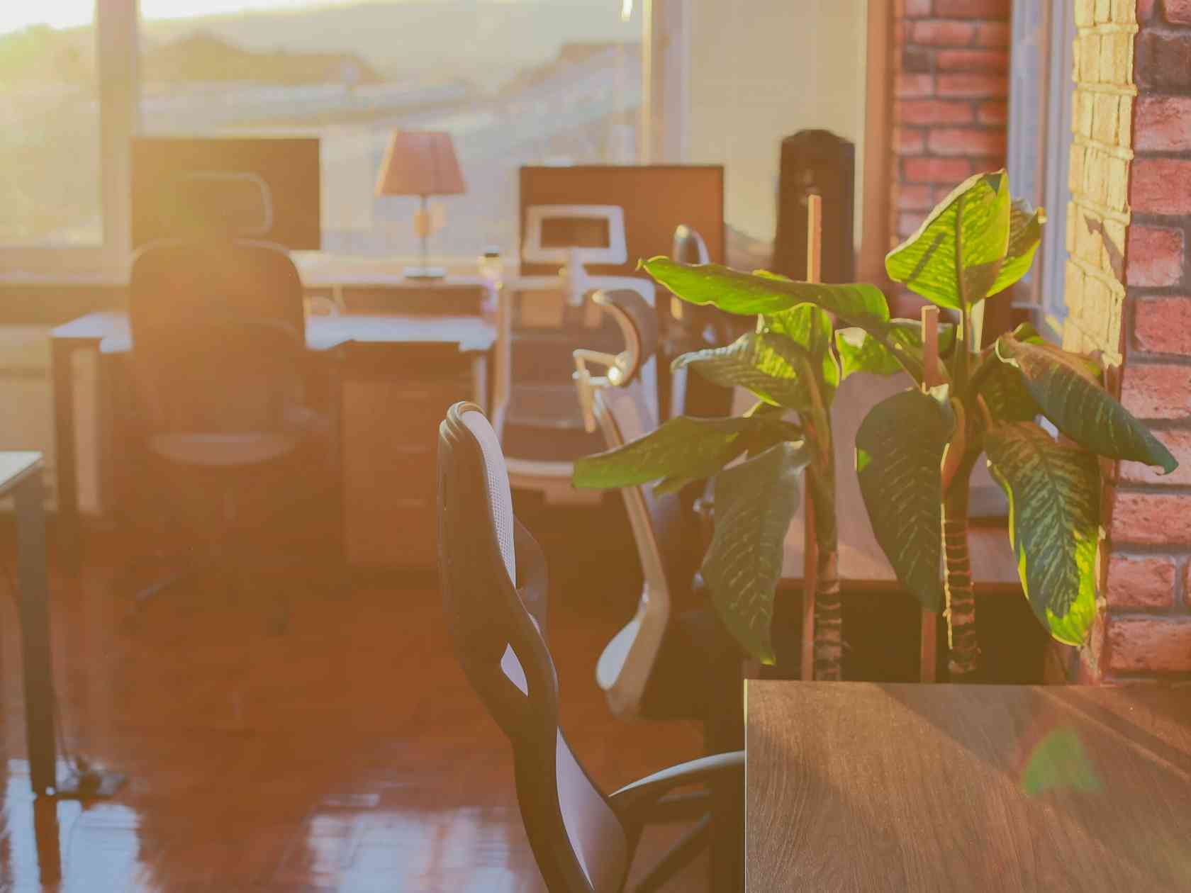 Coworking area