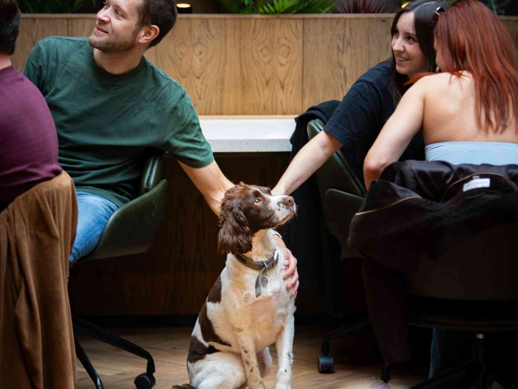 Coworking area