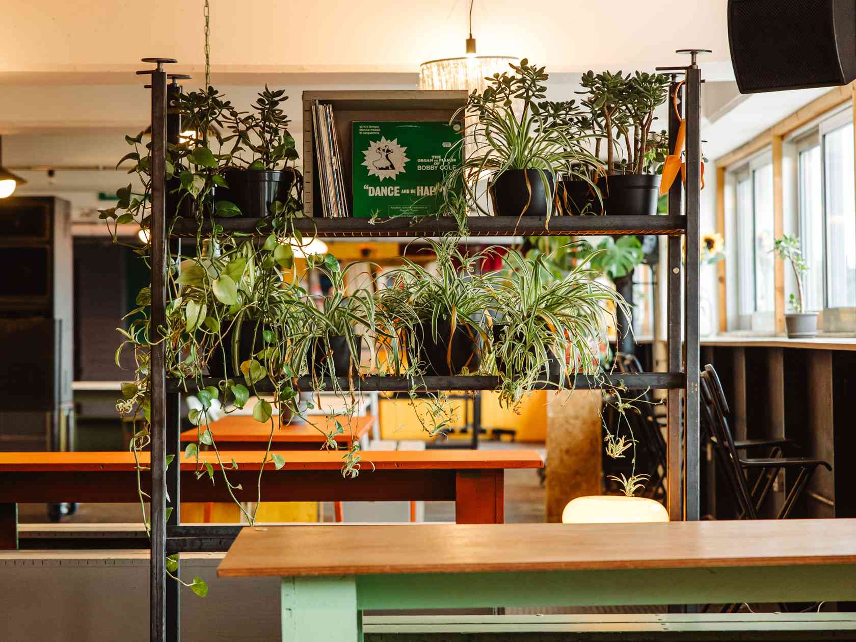 Coworking area