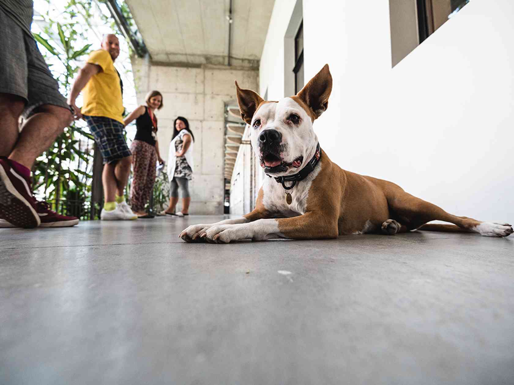 Coworking area