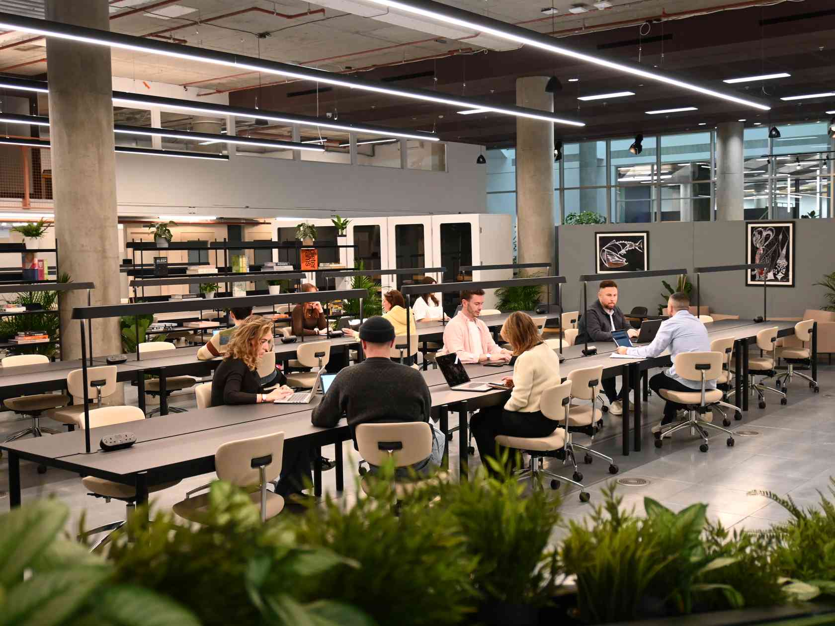 Coworking area