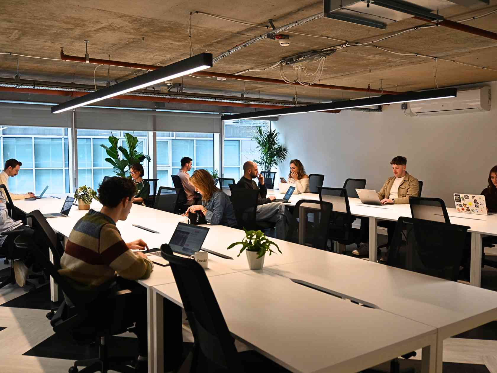 Coworking area