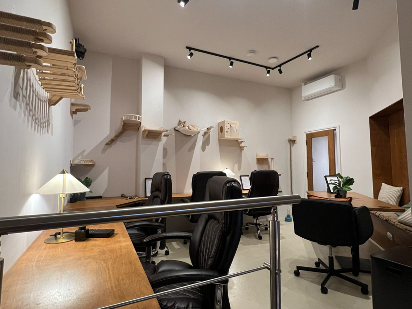 Coworking area
