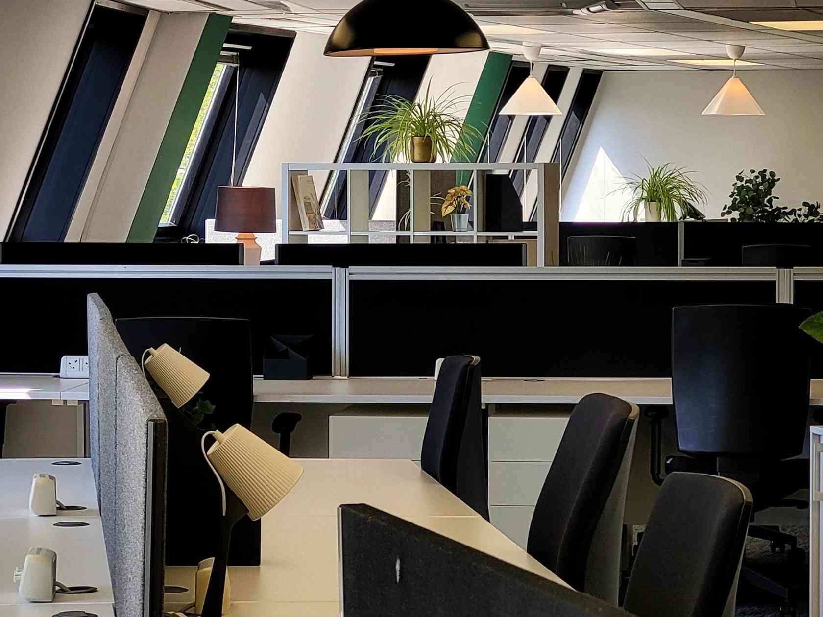 Coworking area
