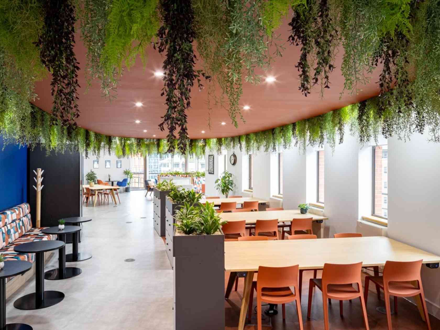 Coworking area