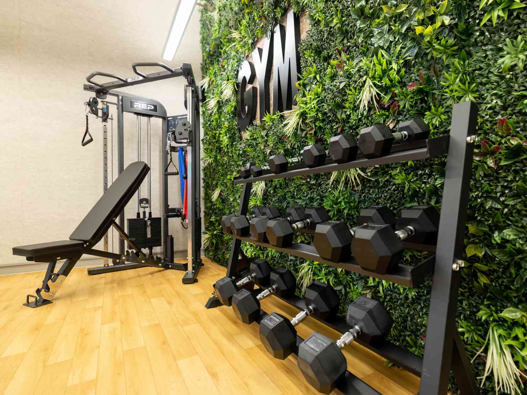 Gym
