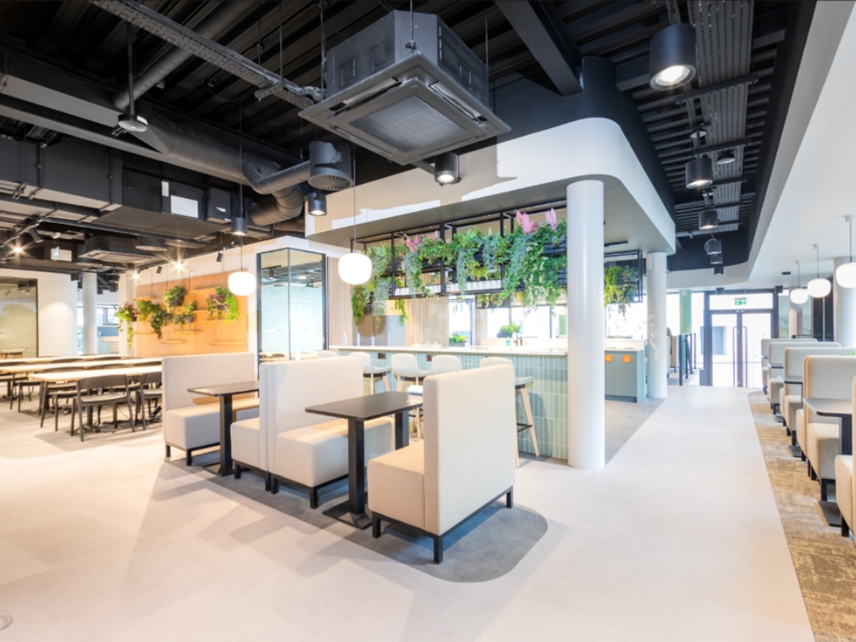 Coworking area