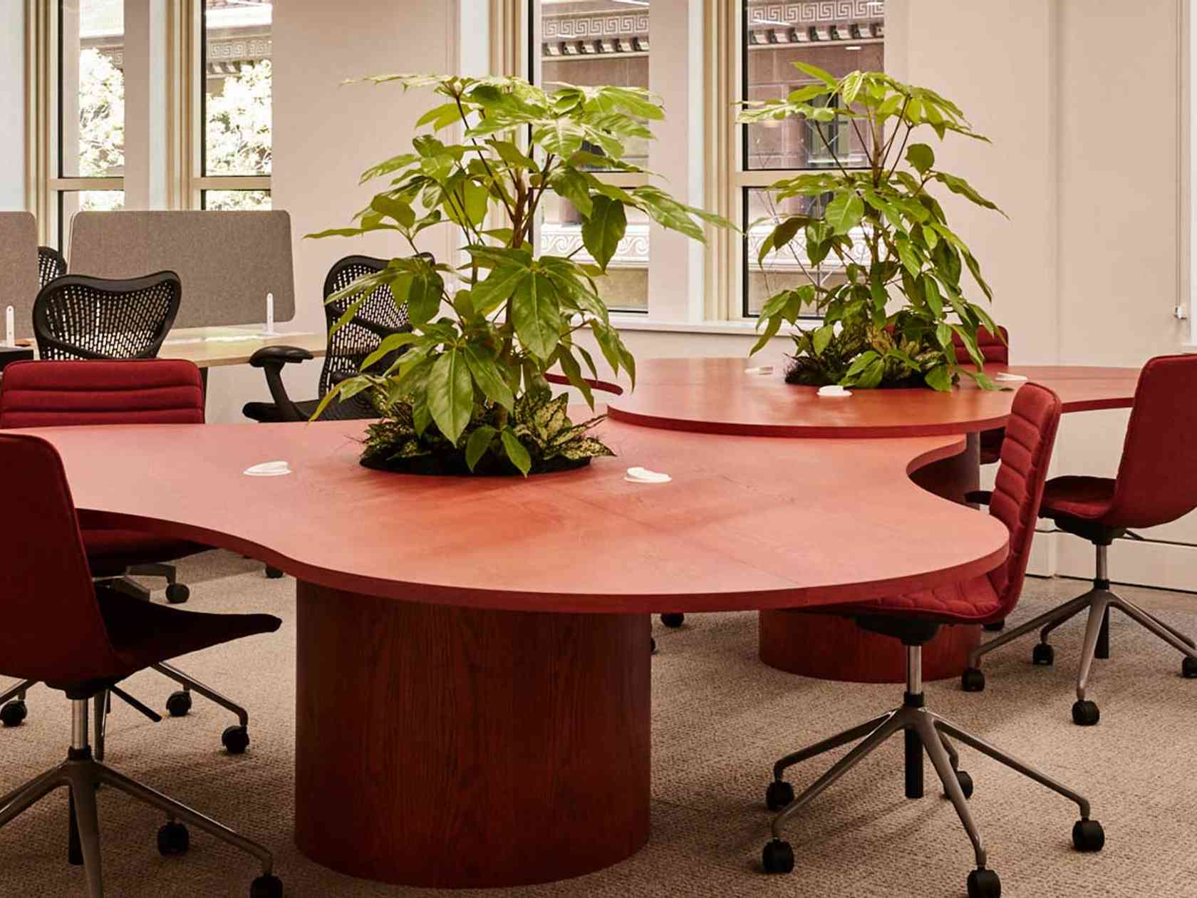 Coworking area