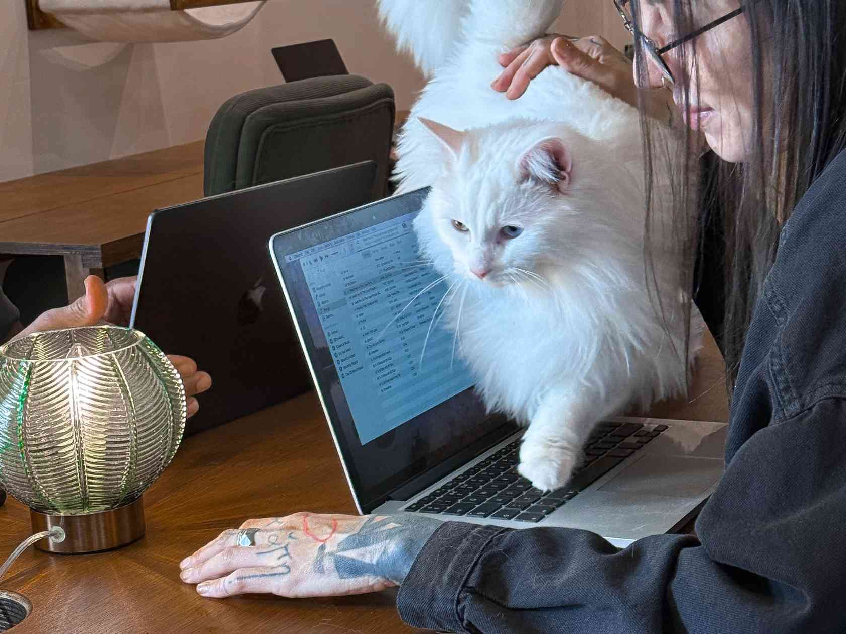 Coworking area
