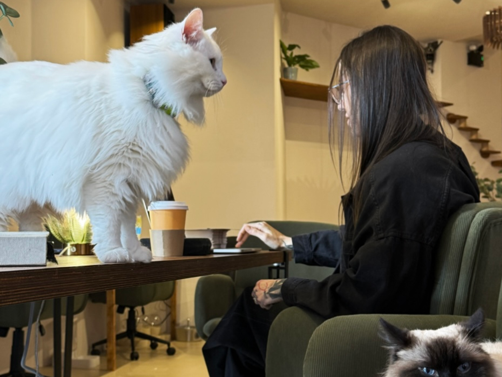 Coworking area